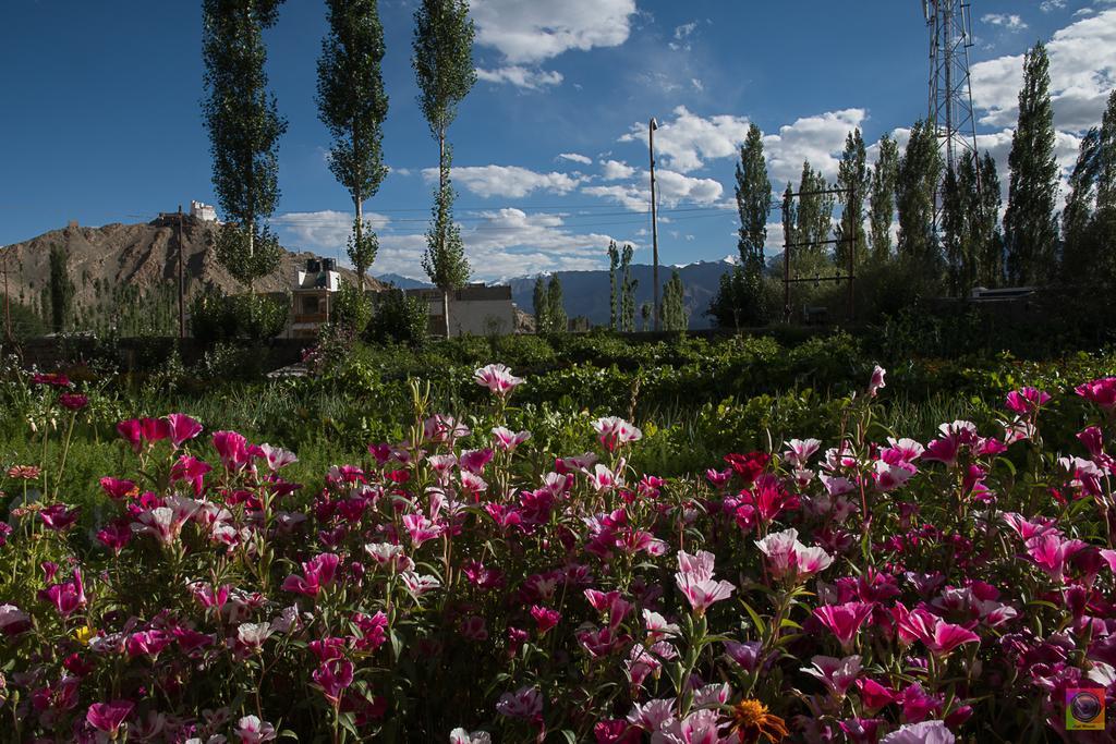 Shaolin Ladakh Leh Exterior foto